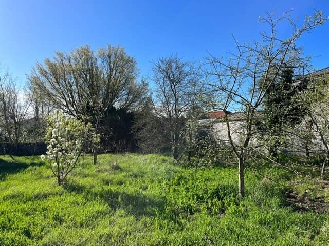 ZENTRALE LAGE RUHIGE ANWOHNERSTRASSE