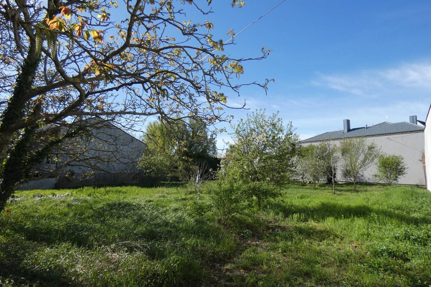 ZENTRALE LAGE RUHIGE ANWOHNERSTRASSE