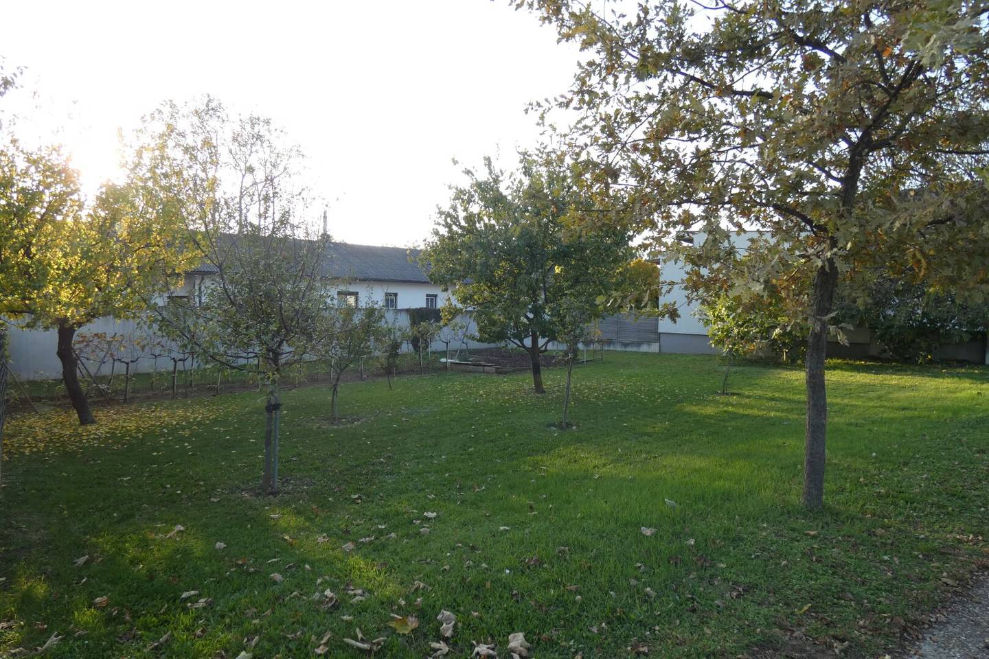 WOHNEN AM RANDE SCHÖNER NATUR