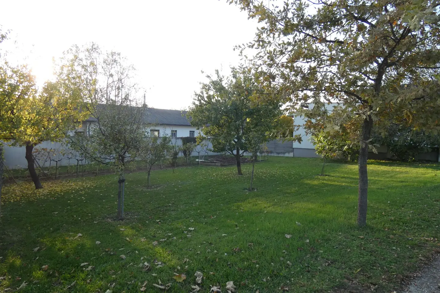 WOHNEN AM RANDE SCHÖNER NATUR
