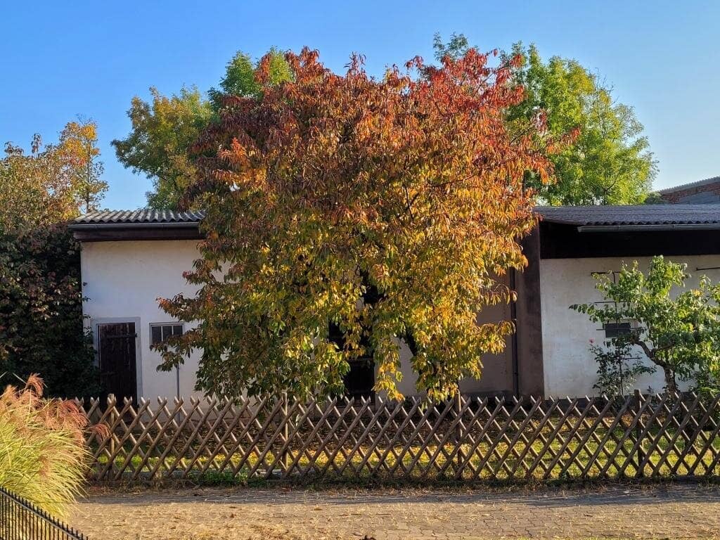 Ertragreiche Liegenschaft bzw. traumhaftes Mehrfamilienhaus in Gols