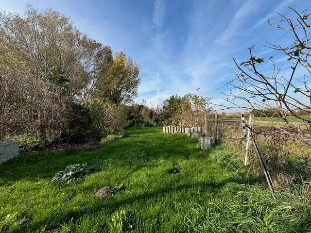 Exclusive dream plot for your own home in Neusiedl am See