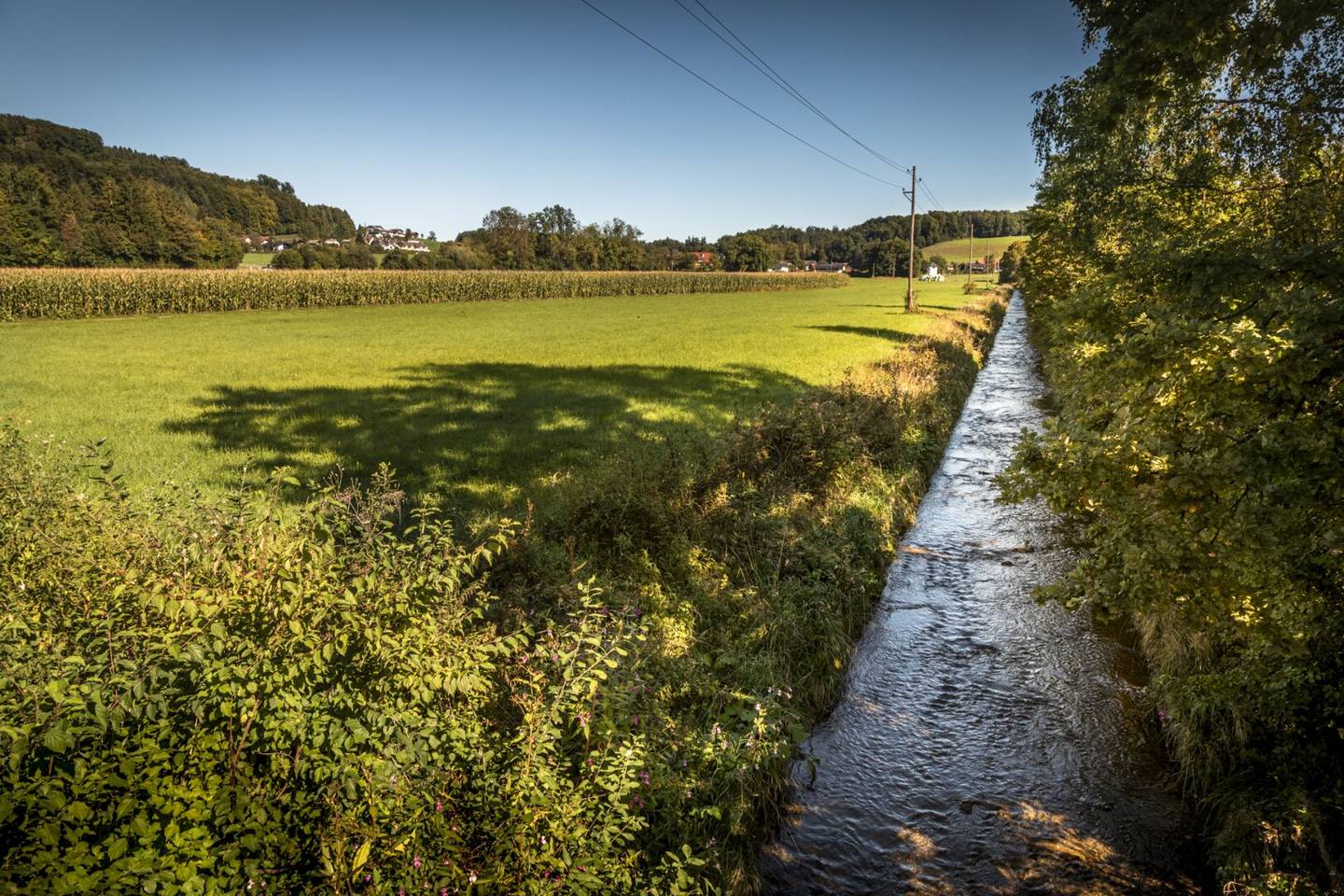 Voll aufgeschlossenes Baugrundstück am grünen Stadtrand