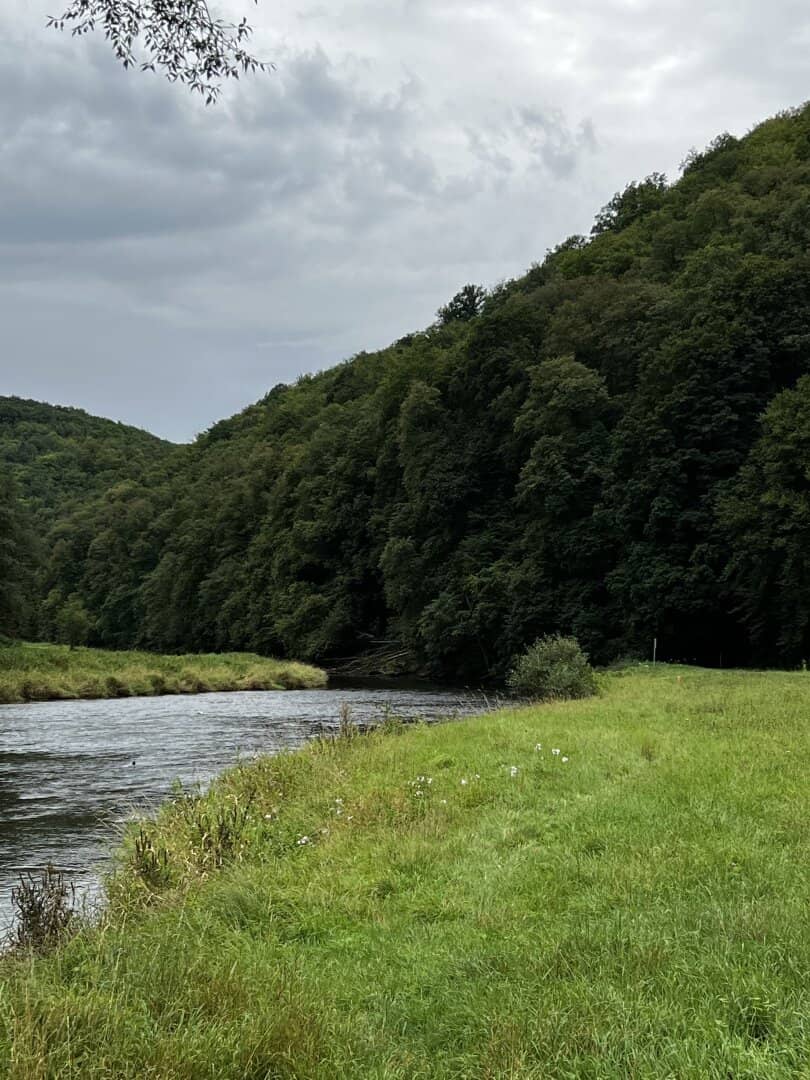 390 ha Waldbesitz mit 460 ha Jagdfläche