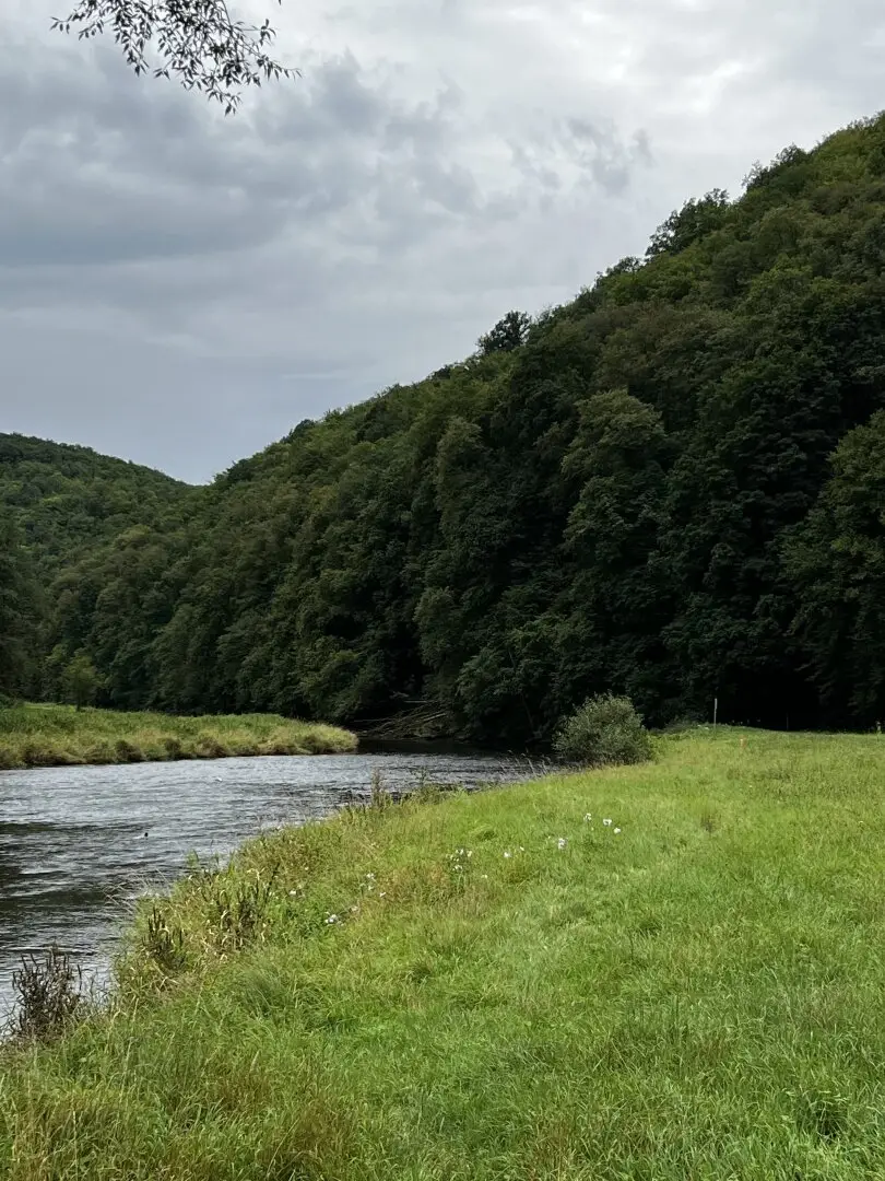 3,900,000 m² forest estate with 4,600,000 m² hunting area