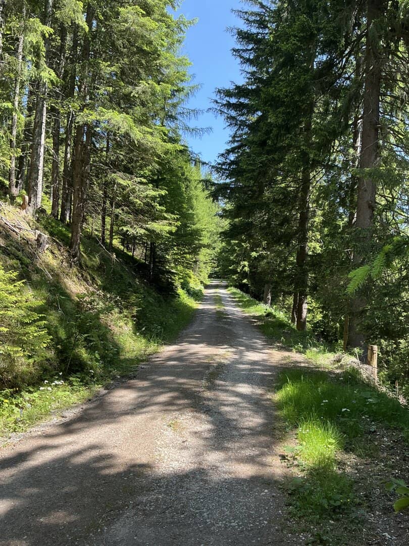 Wald / Forstbesitz / Eigenjagd verkaufen?
