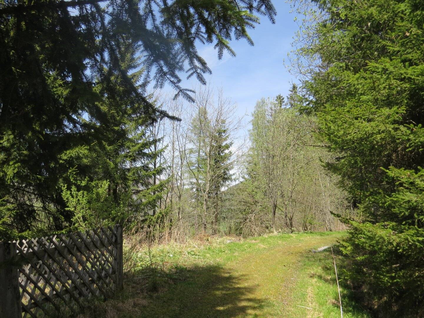 1123 m² allgemeines Wohngebiet in Hohentauern mit Baumbestand