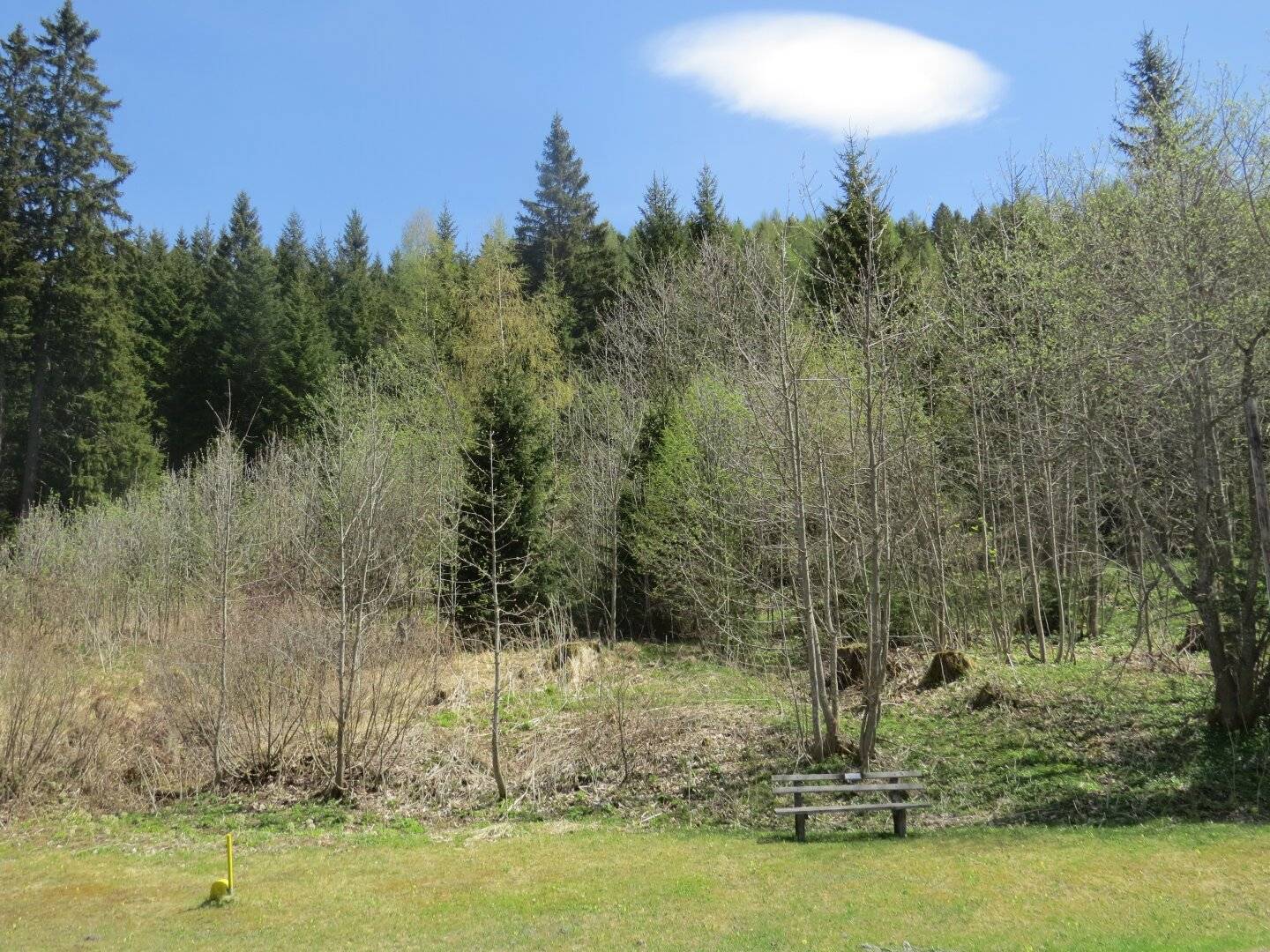 1123 m² allgemeines Wohngebiet in Hohentauern mit Baumbestand