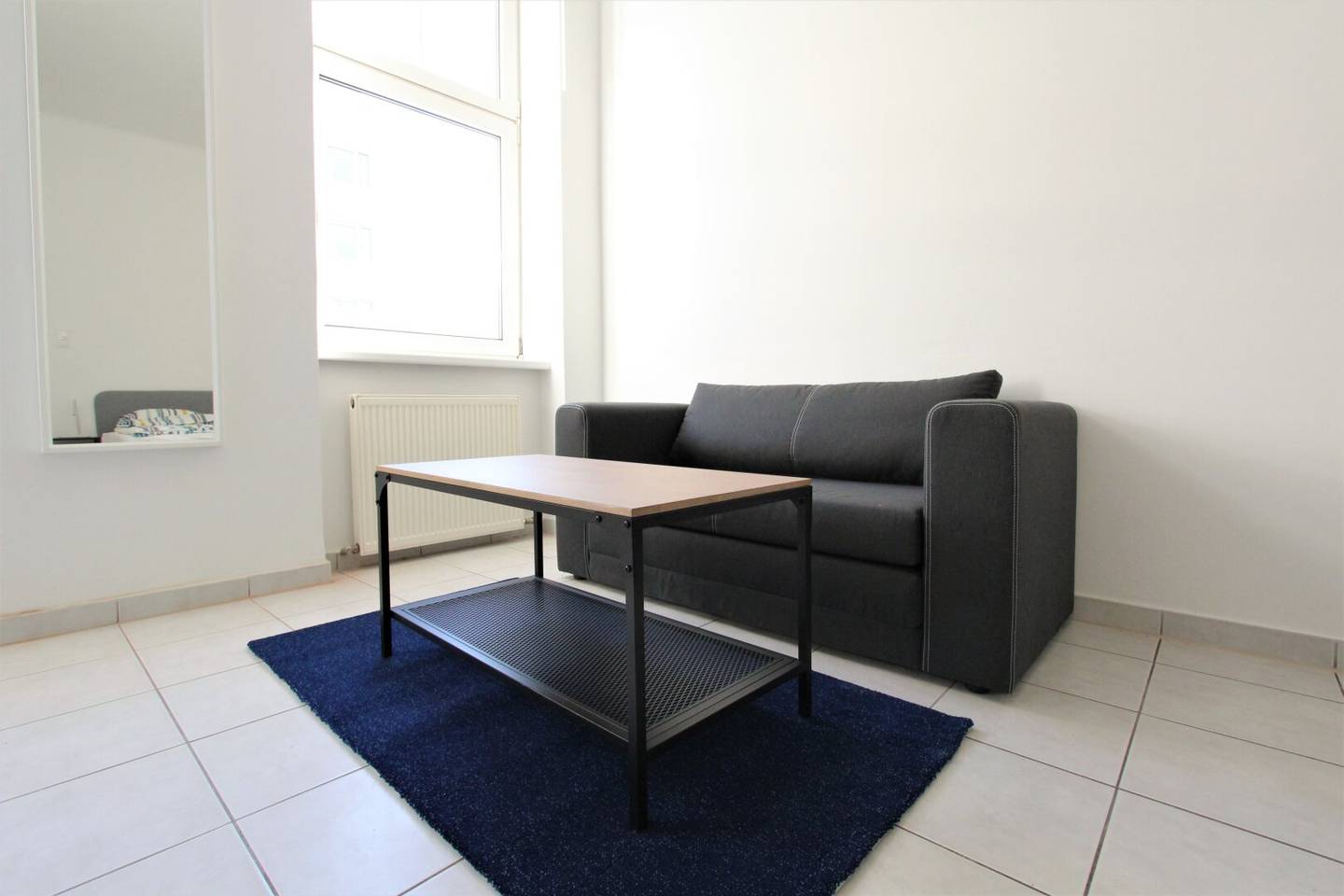 Sunny furnished one room apartment in a central location short term rental