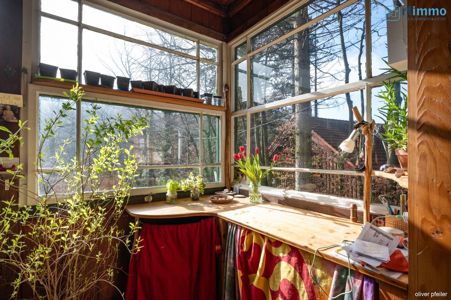 CHARMANTES WALDGRUNDSTÜCK IN EICHGRABEN MIT SOMMERHAUS