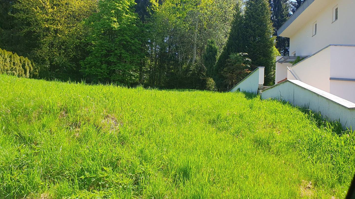 Baugrundstück am Waldrand von Weer