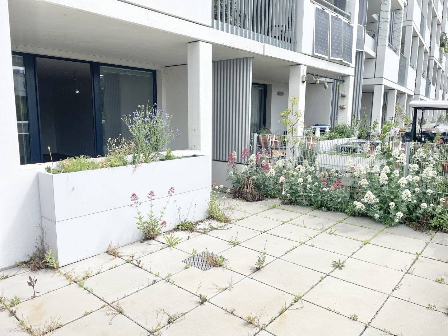 Commission-free from the owner Terrace apartment with 2 rooms near U6 Erlaaer Straße