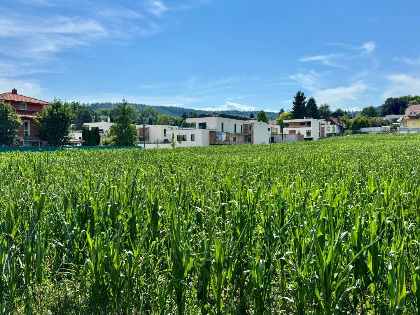 Immobilienbild 2