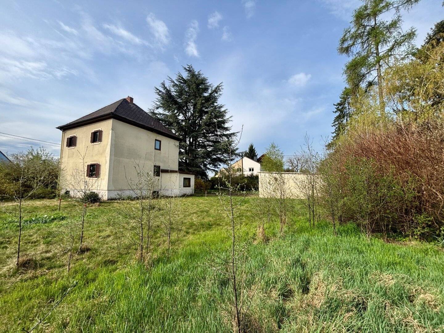 Immobilienbild 3