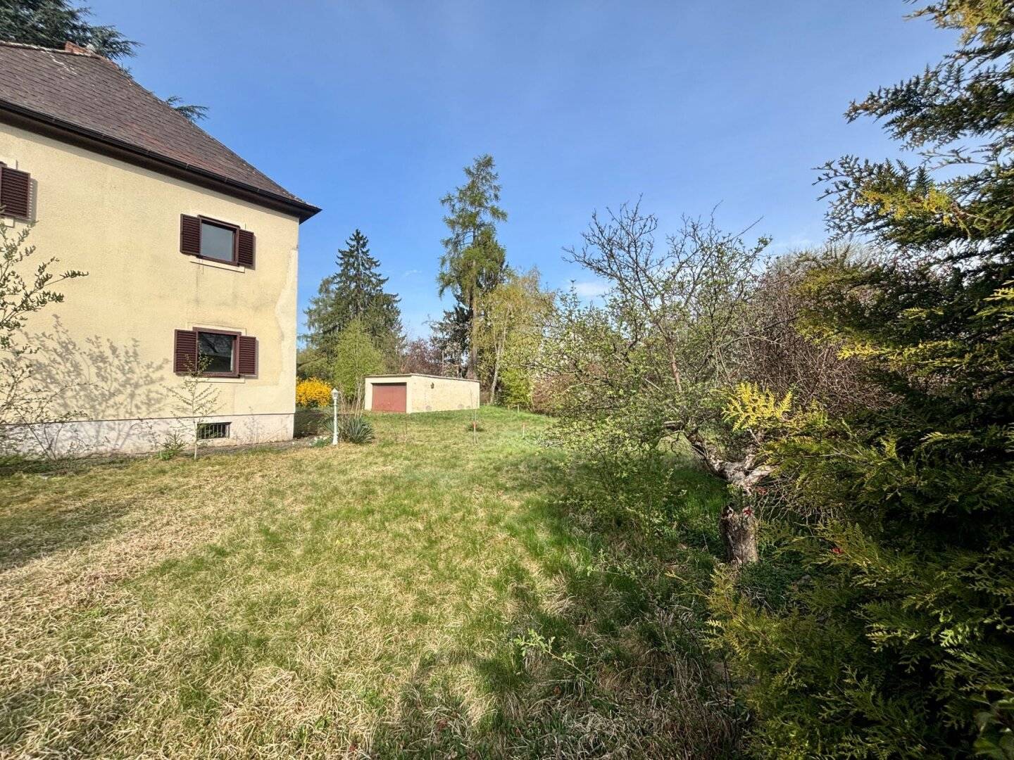 Immobilienbild 3