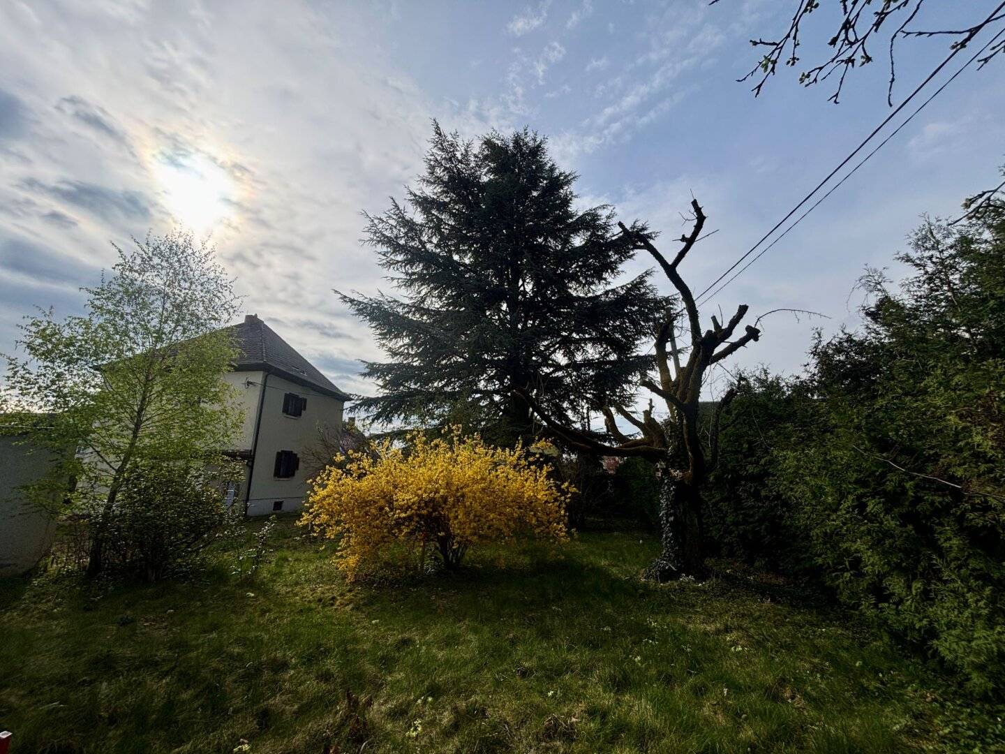 Immobilienbild 3