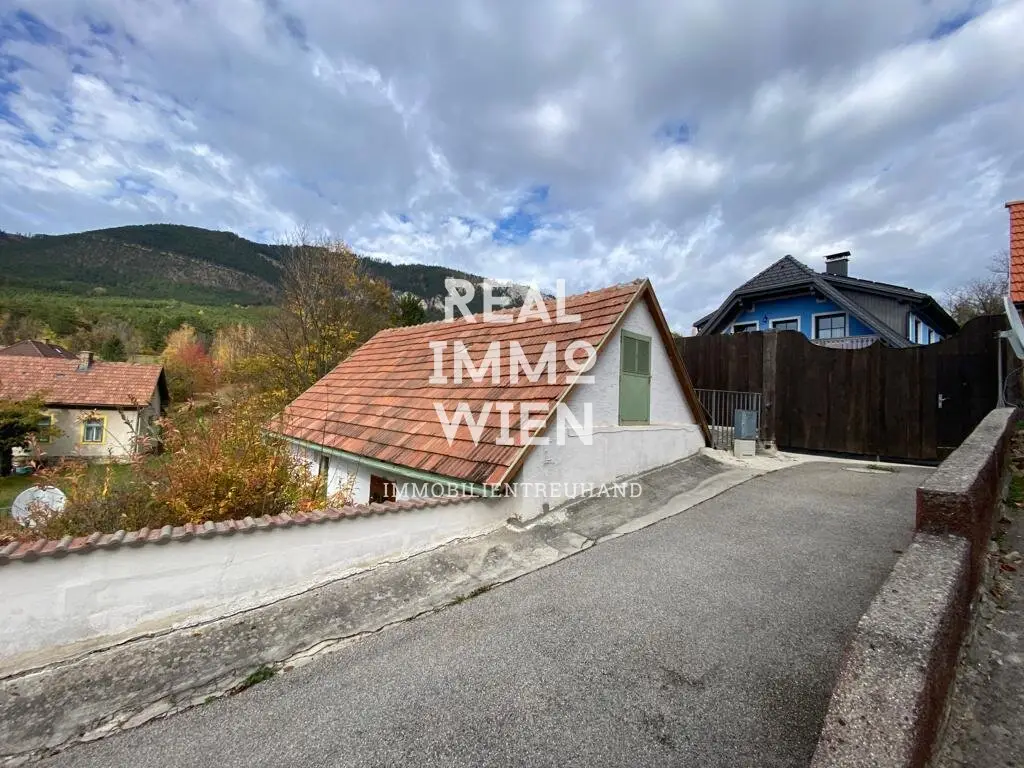 Naturnahes Wohnen im renovierungsbedürftigen Einfamilienhaus in Grünbach am Schneeberg