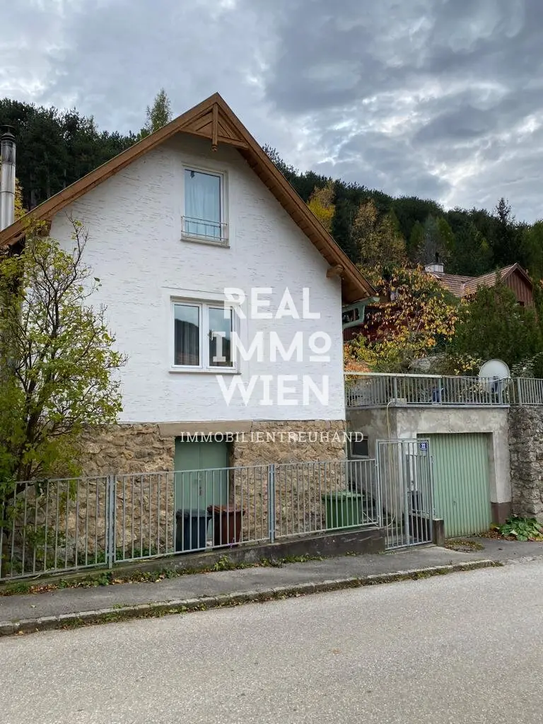 Commission-free Charming single family house with great potential in Grünbach am Schneeberg