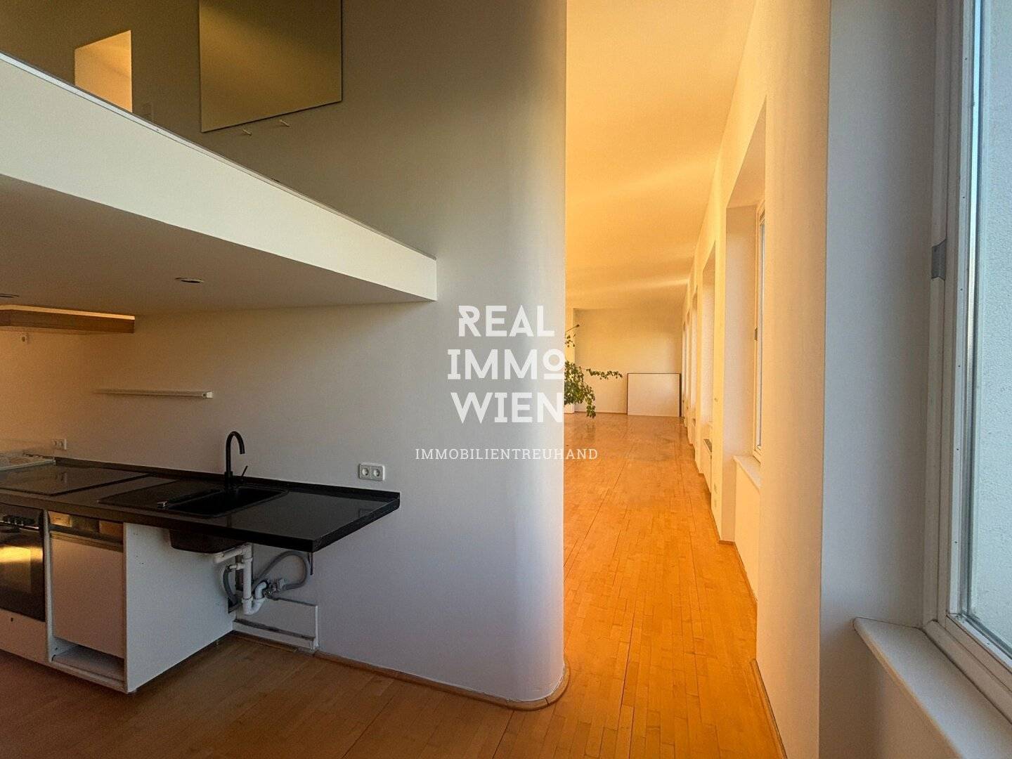 Sunlit loft with gallery level