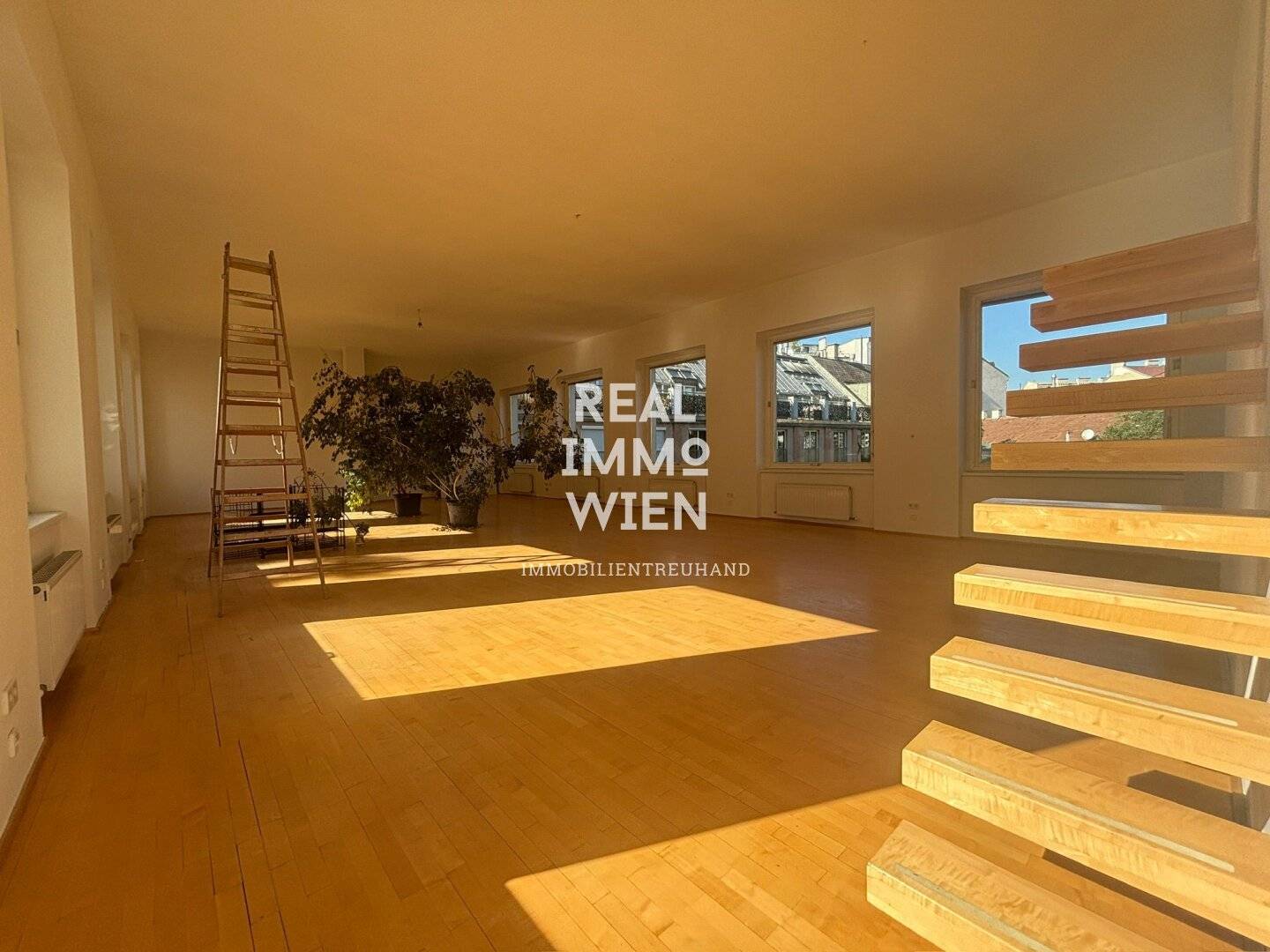Sunlit loft with gallery level