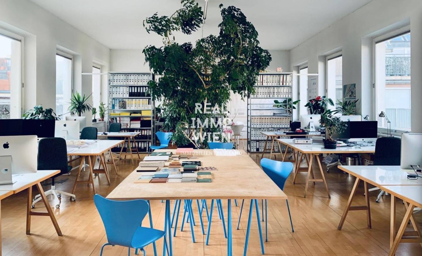Sunlit loft with gallery level