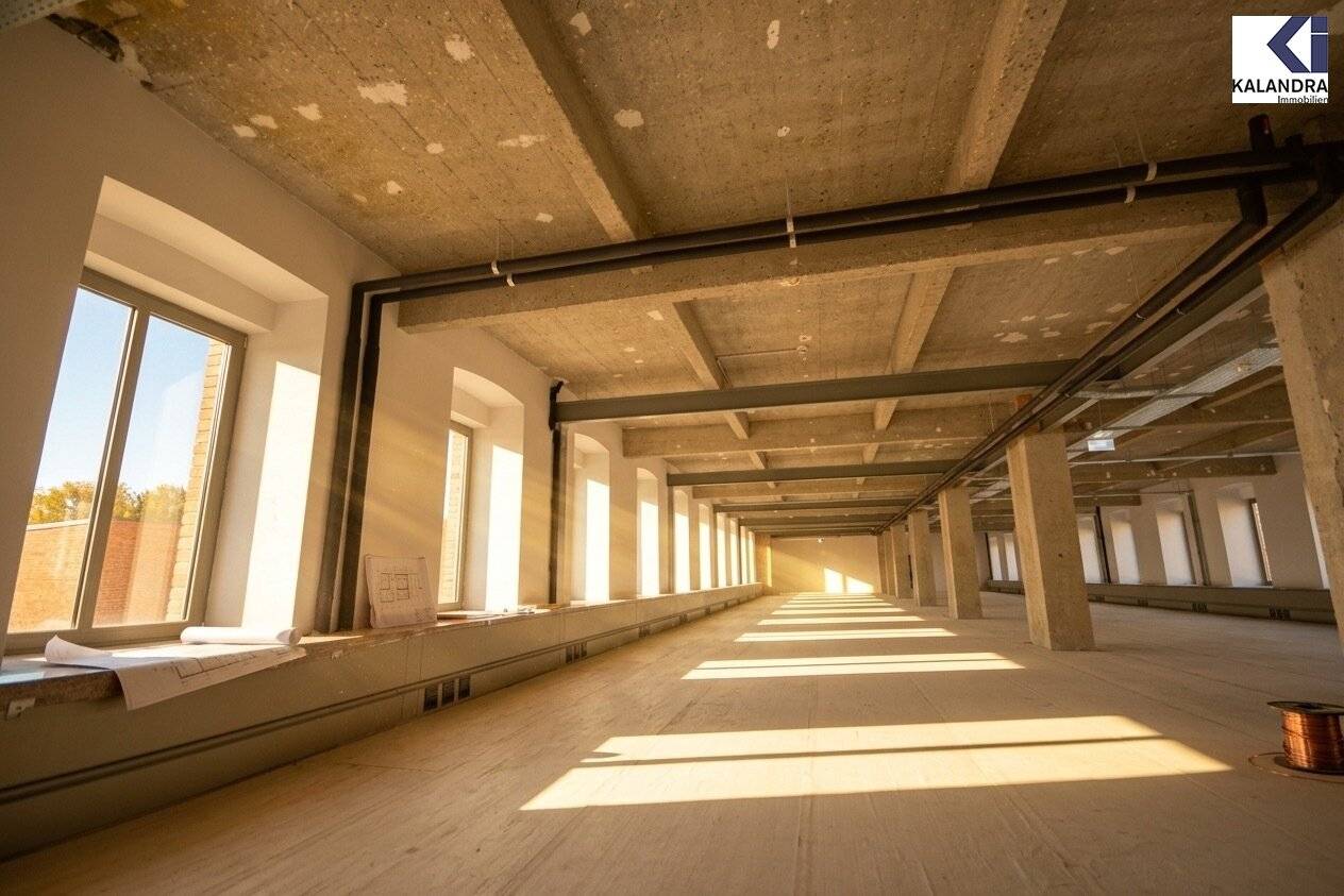 Loft Offices in the Fabiani House