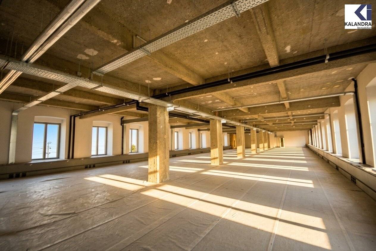 Loft Offices in the Fabiani House