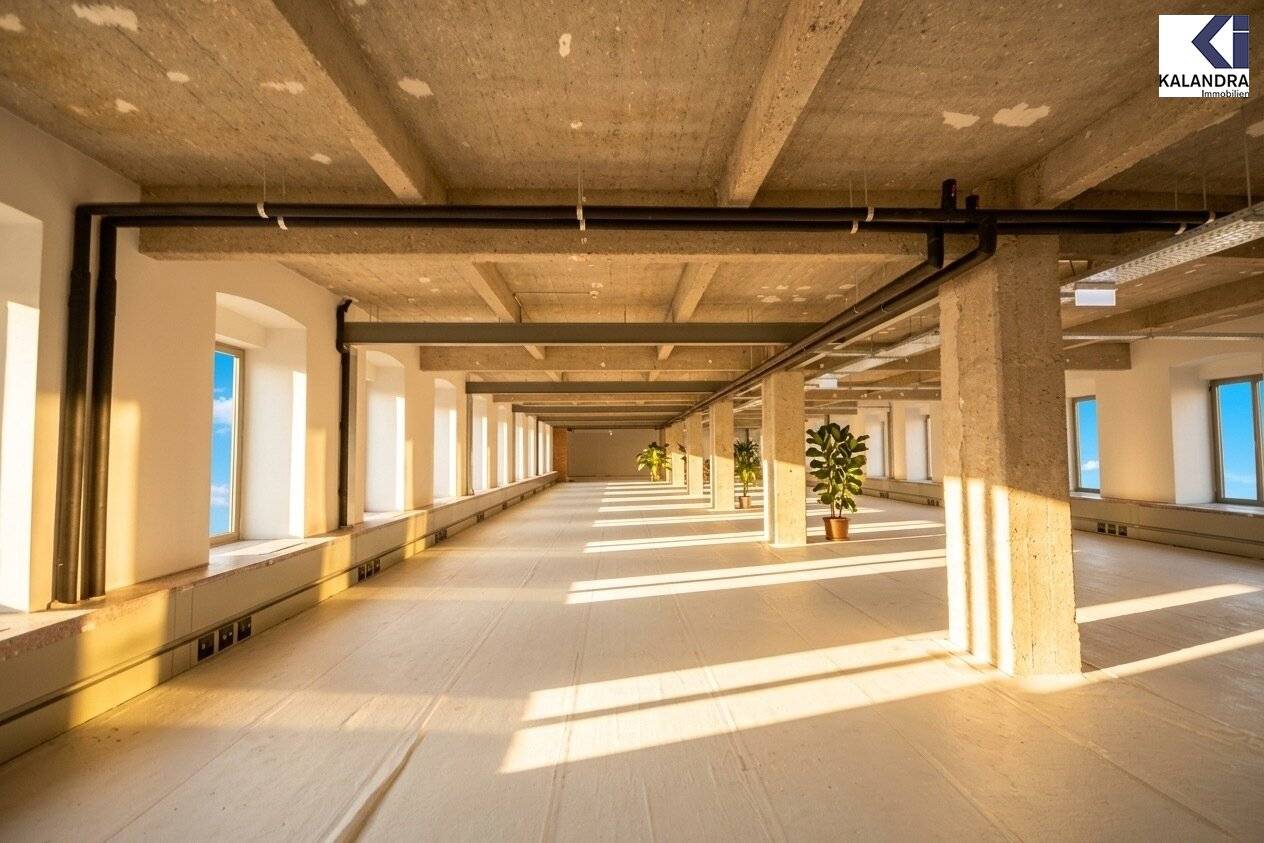 Loft Offices in the Fabiani House