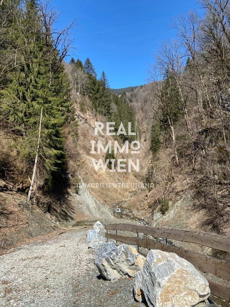Waldparadies in Taxenbach – 13.141 m² Natur pur mit vielzeitigen Potential