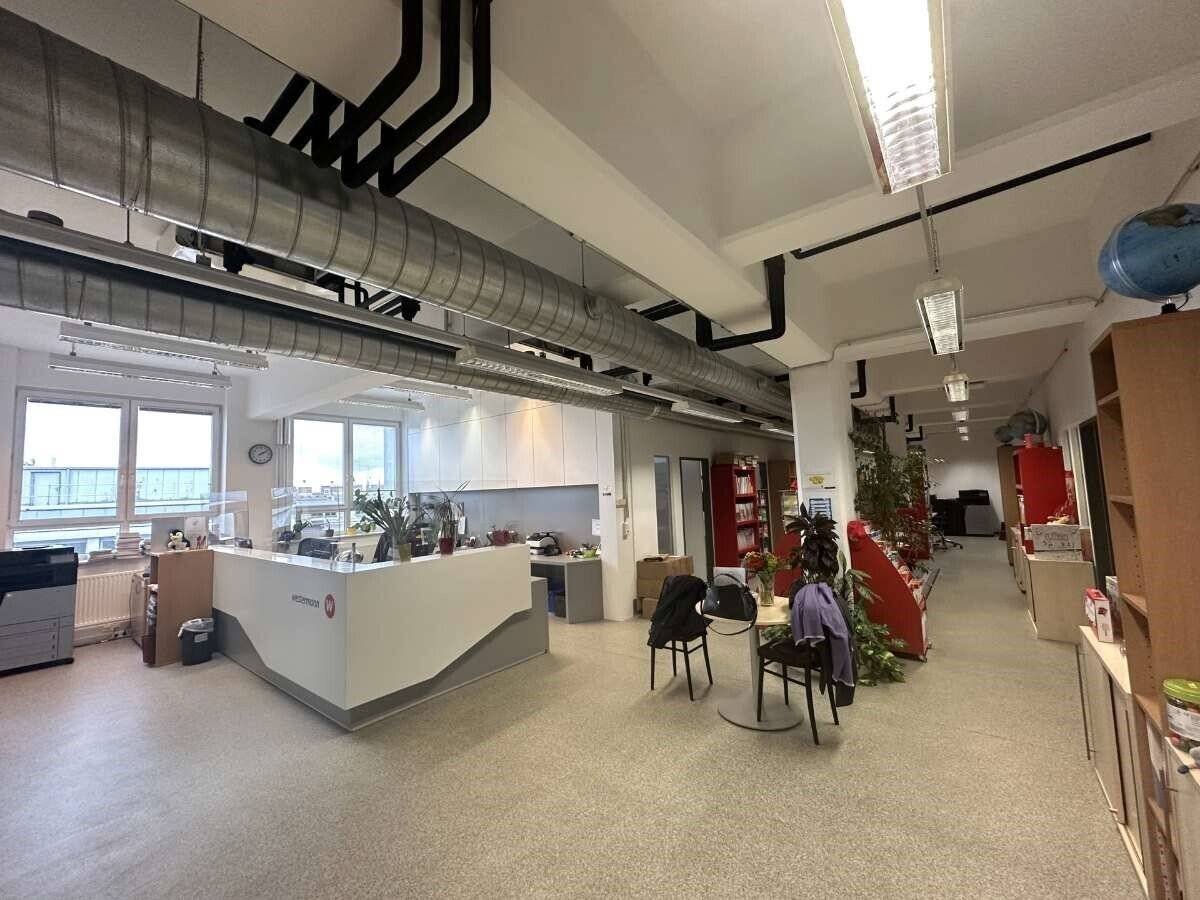 Completely renovated old building / Loft