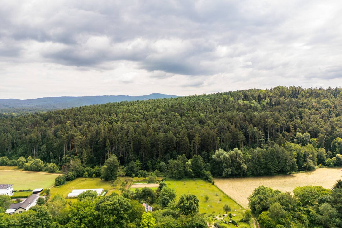 Waldgut "Auf der Schleinz"