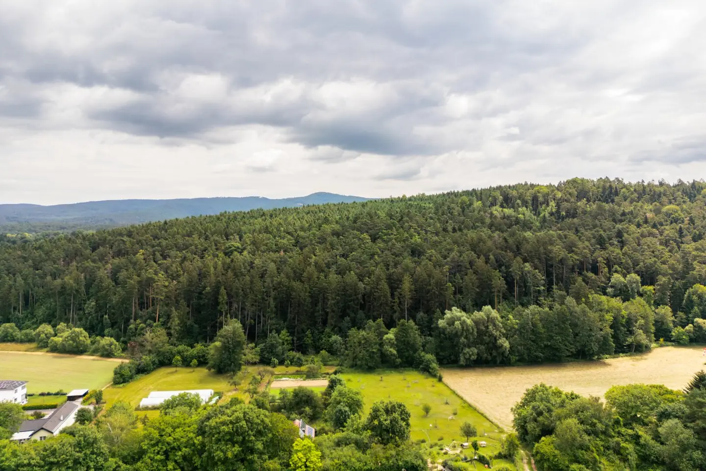 Forest estate Auf der Schleinz