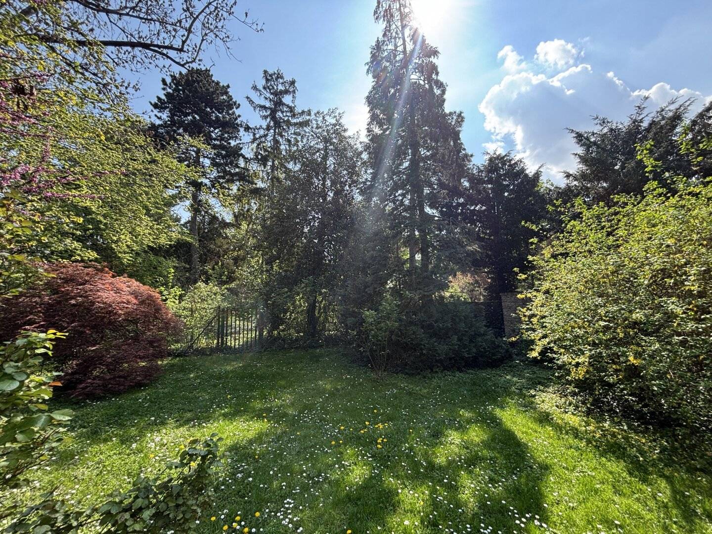 Plot Jewel in the Heart of Döbling