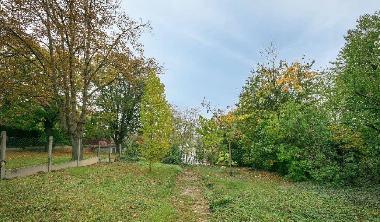 Plot Jewel in the Heart of Döbling