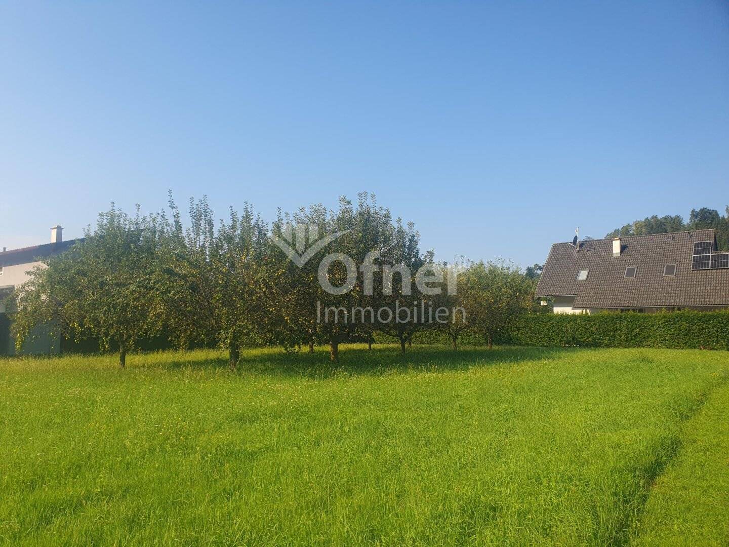 Baugrundstück mit Freiland in ruhiger Stadtrandlage