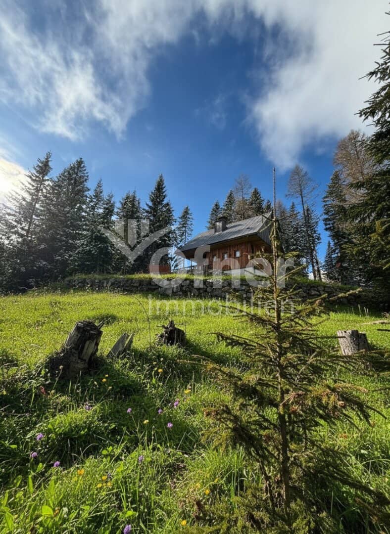 Charmantes Ferienhaus in traumhafter Almlage am Gaberl