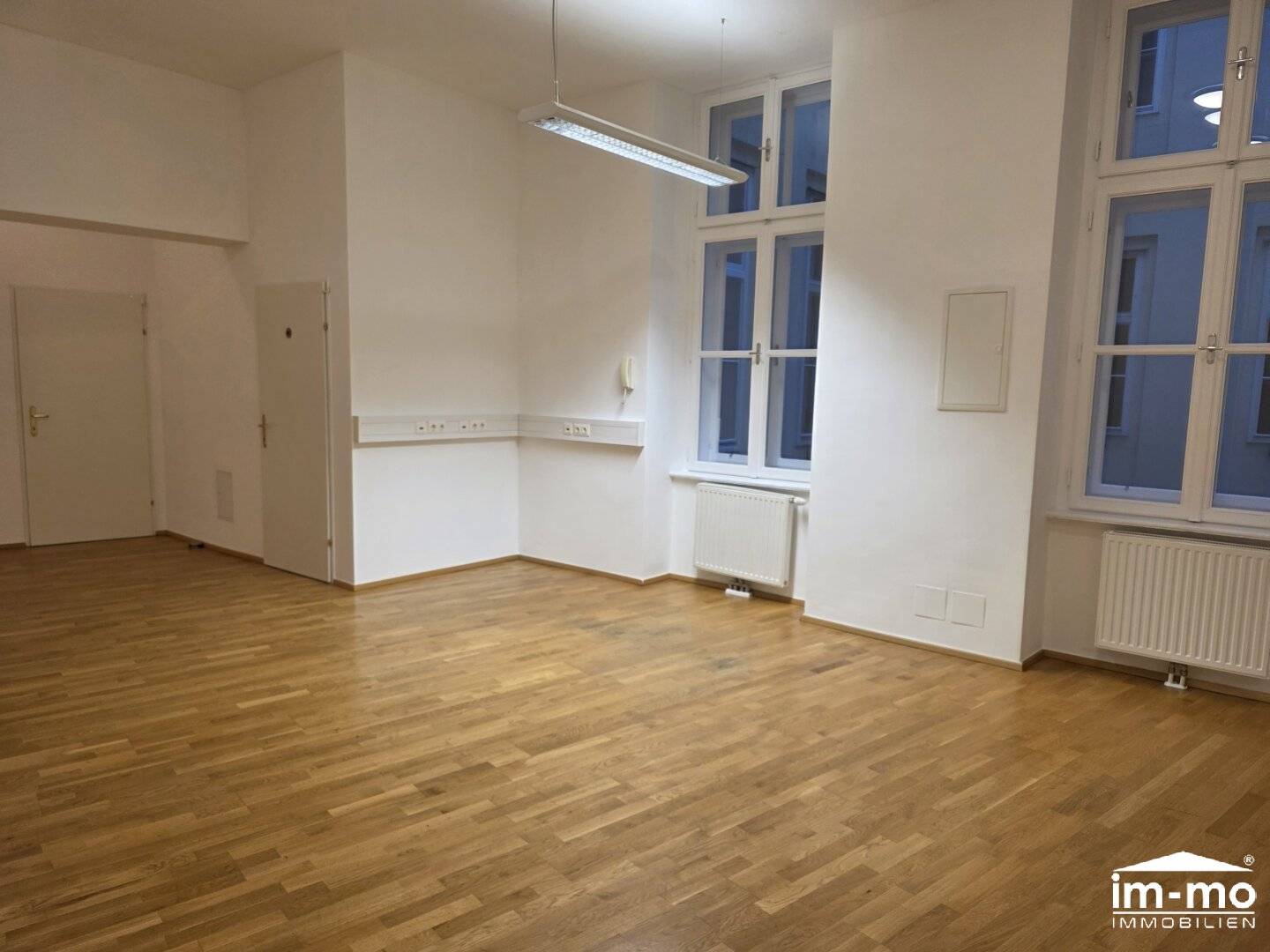 Beautiful 102 m² office on Gonzagagasse at Rudolfsplatz with side park view, classic representative style historic building lift shaft best infrastructure