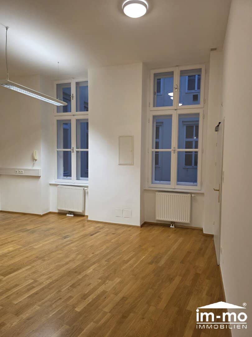 Beautiful 102 m² office on Gonzagagasse at Rudolfsplatz with side park view, classic representative style historic building lift shaft best infrastructure