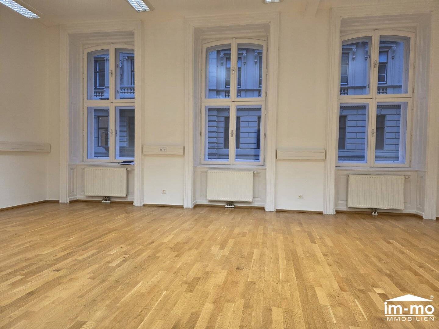 Beautiful 102 m² office on Gonzagagasse at Rudolfsplatz with side park view, classic representative style historic building lift shaft best infrastructure
