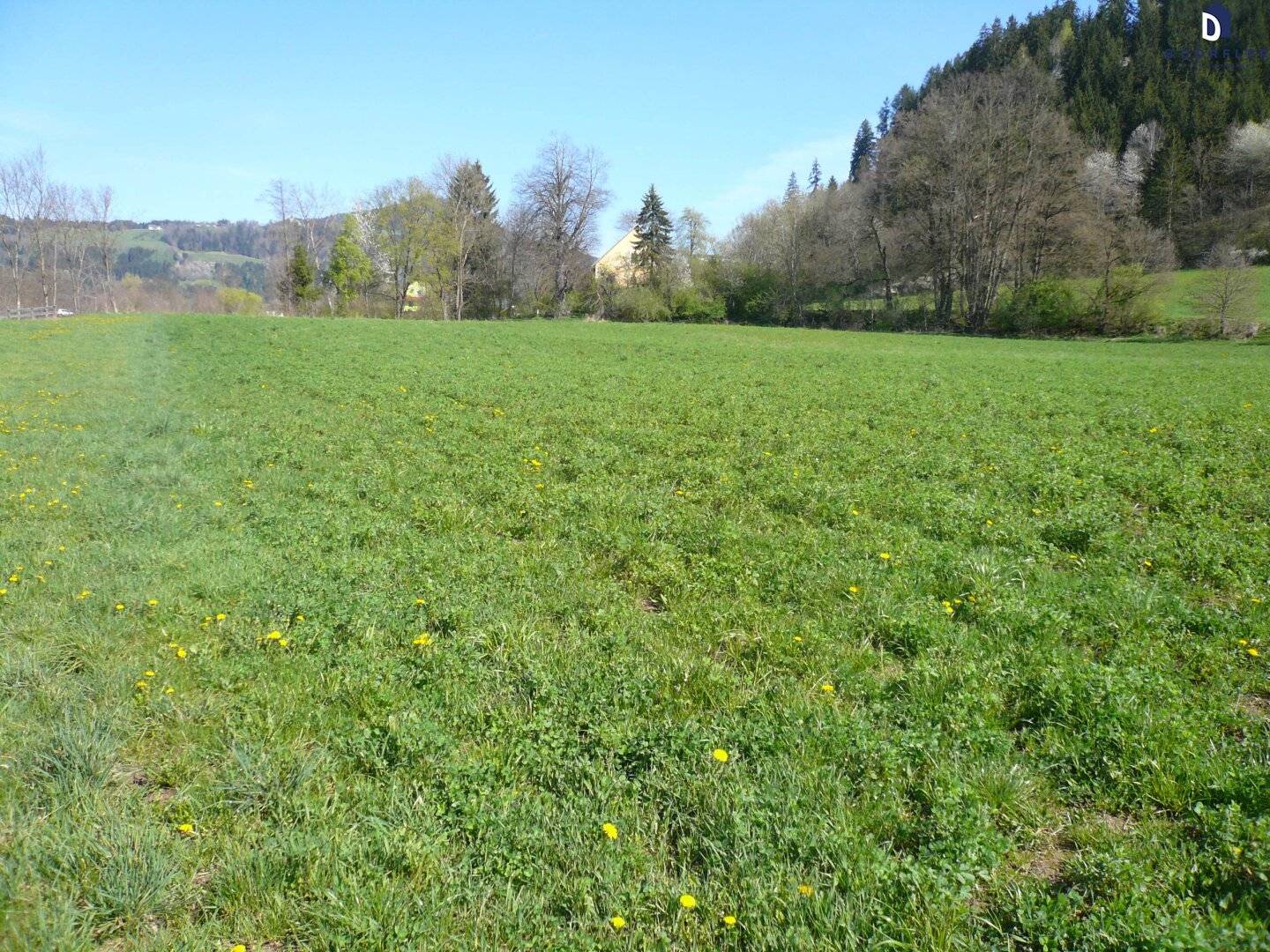 Ackerfläche (Bio-Fläche) nähe Feldkirchen/Stadt