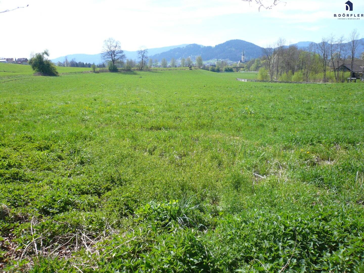 Ackerfläche (Bio-Fläche) nähe Feldkirchen/Stadt