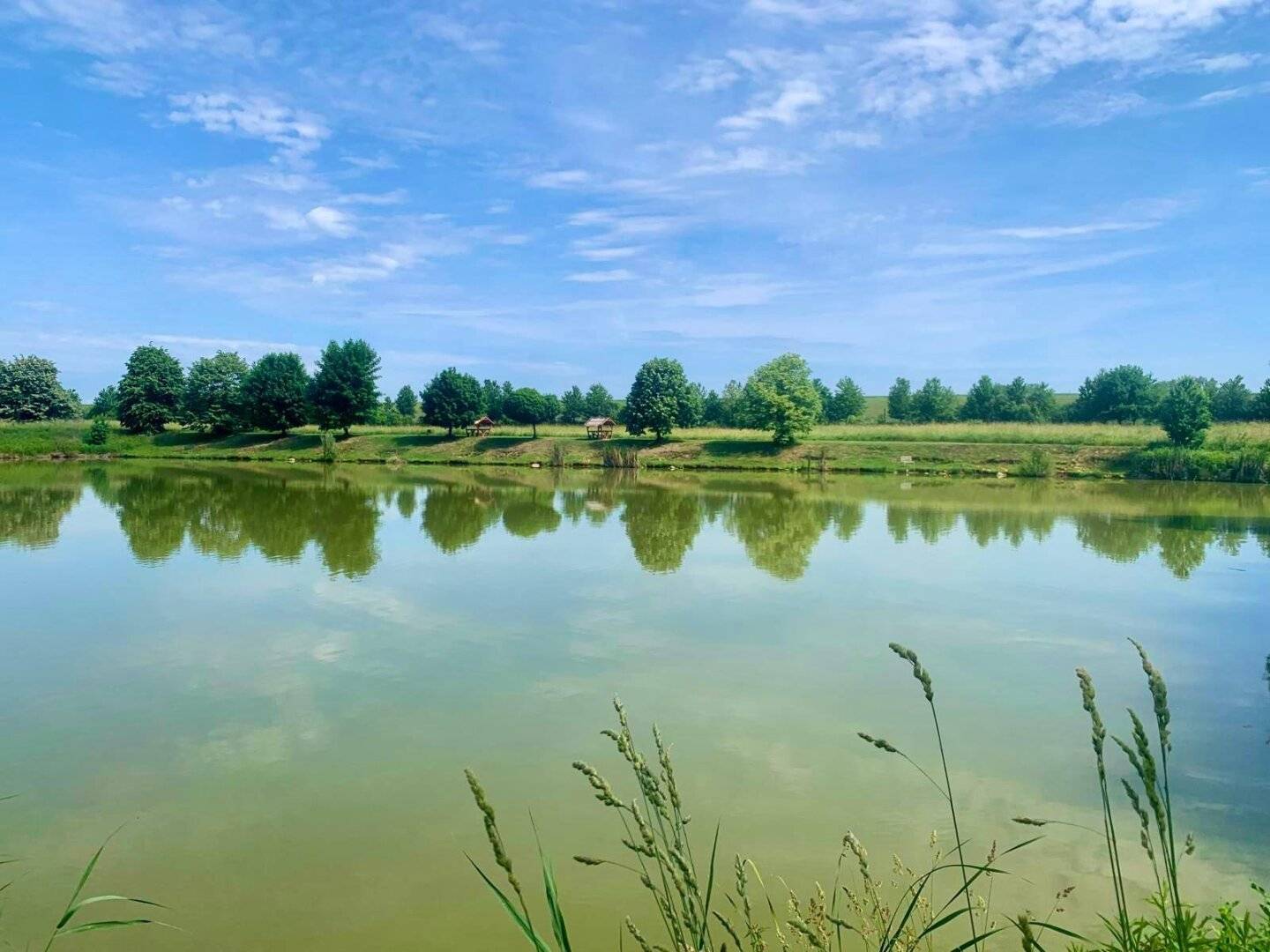 Ungarn: Tolle Fischteichanlage und Baugrund für  mehrere Chalets in ruhiger, sonnigen Alleinlage mit Potenzial !!!