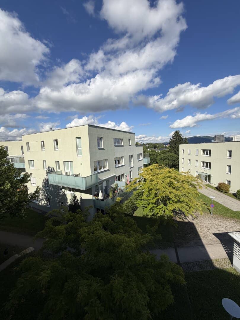 Helles Erstklasse-Appartement mit 15 m² L-Balkon in Urfahrer Bestlage (Auberg)