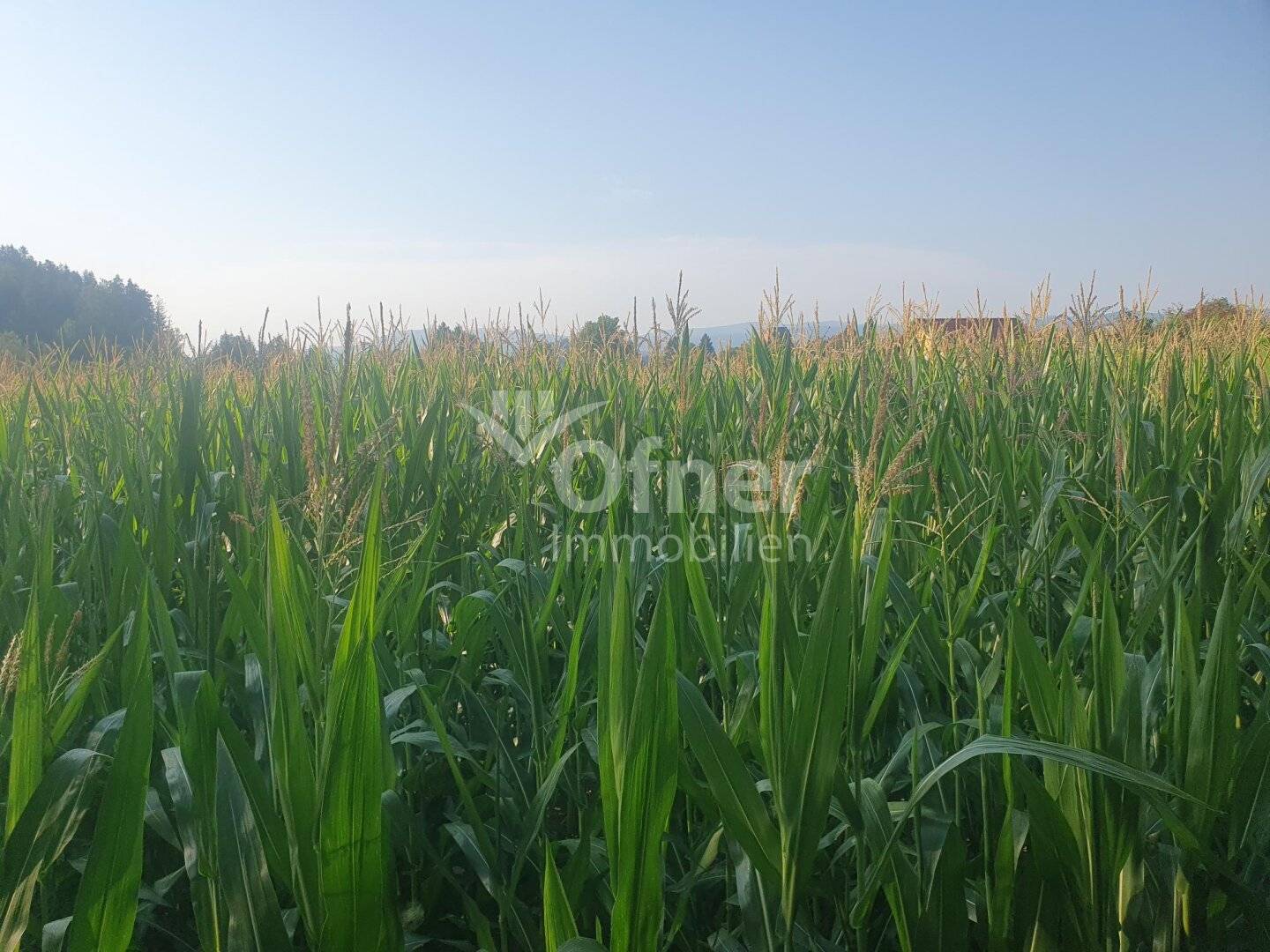 Gut bearbeitbares Ackergrundstück in Bärnbach