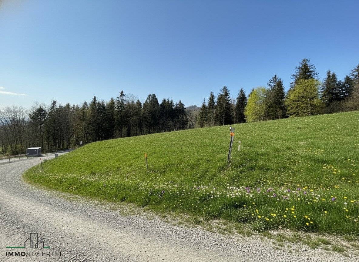 Baugrundstück mit Grünlandanteil in St. Georgen an der Leys!