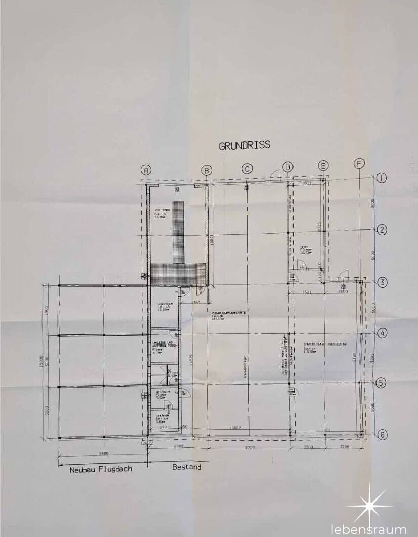 Grundriss 1