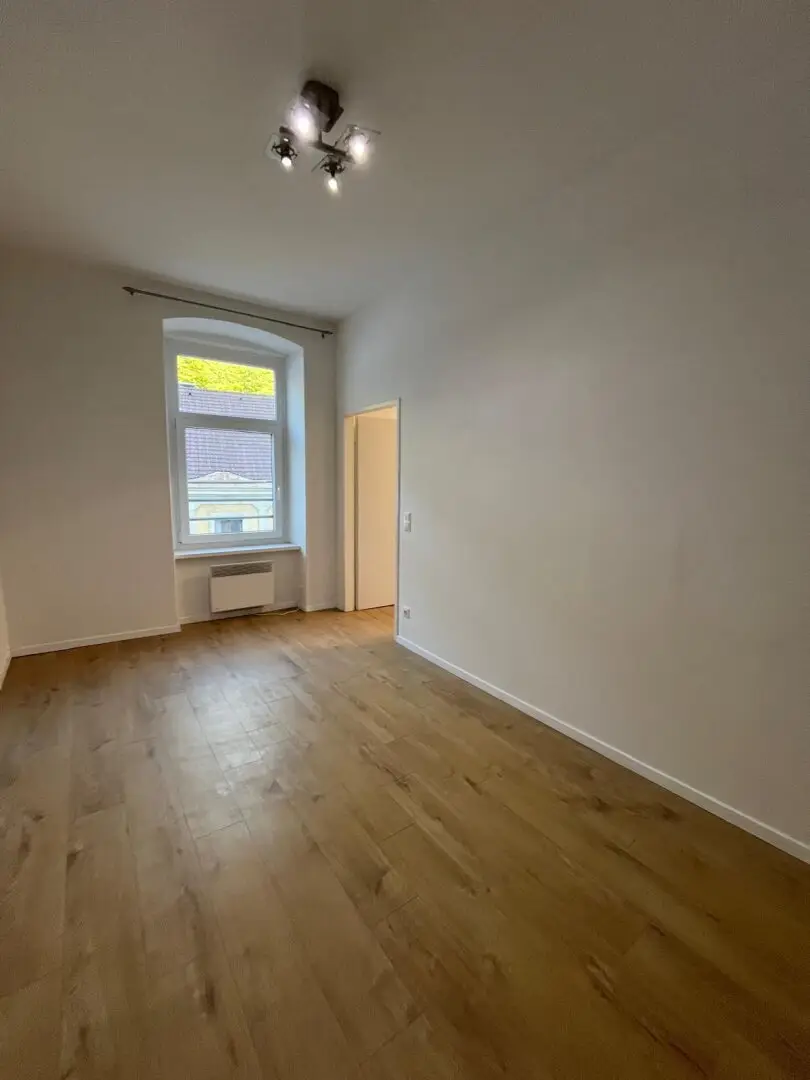 Two owner-occupied apartments in Schottwien for sale