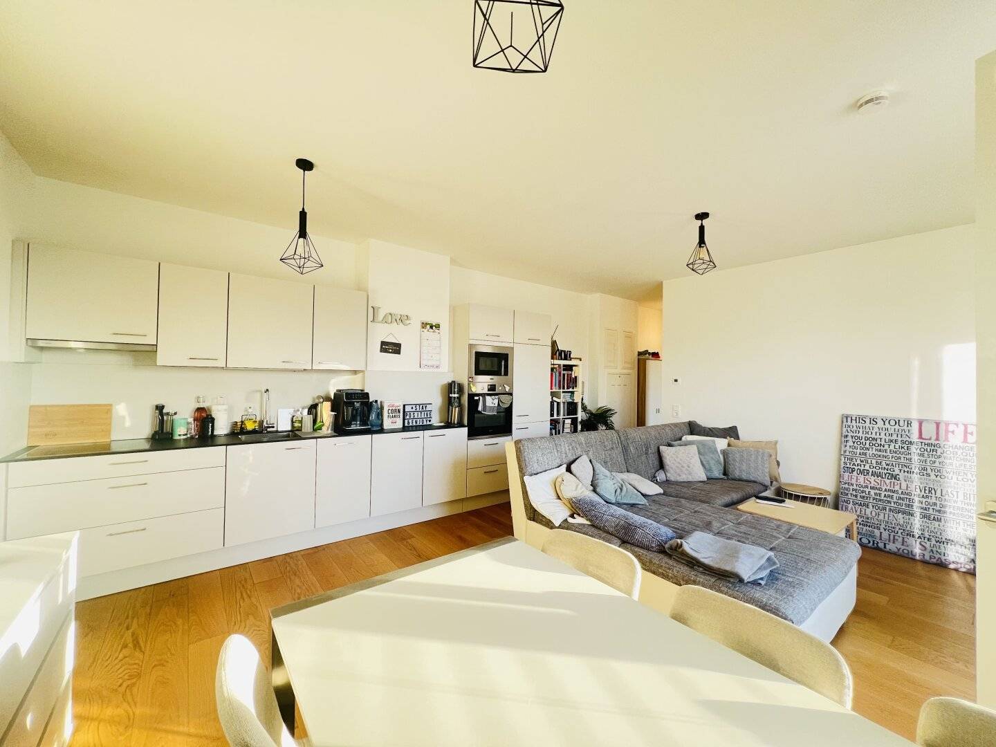 Q11 – Light, Air, Feeling of Life: Your new terrace apartment between the city centre and the Traisen