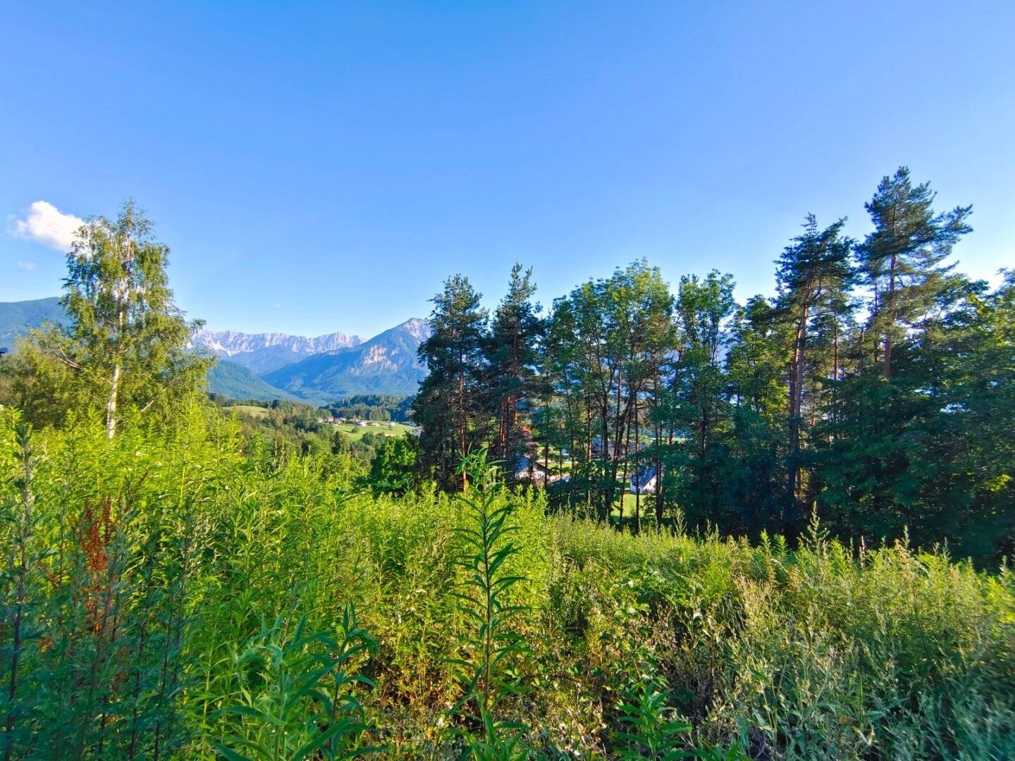 The idea is already there: realize your dream home in a panoramic location of Toppelsdorf