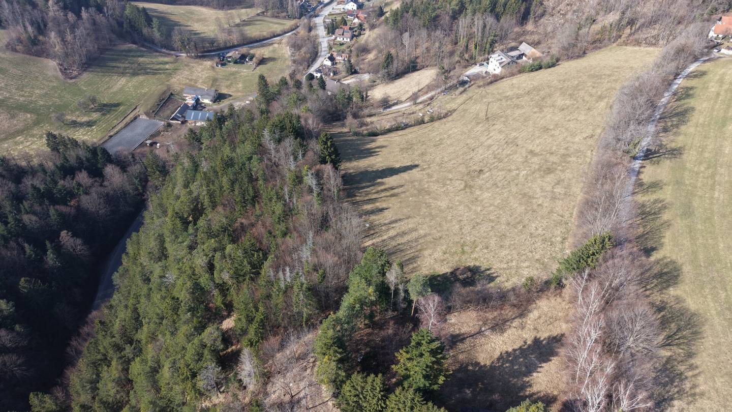 Mensch- und Tierparadies: Mehrparteienhaus mit großem Grundstück - Natur pur